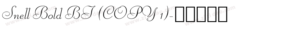 Snell Bold BT (COPY 1)字体转换